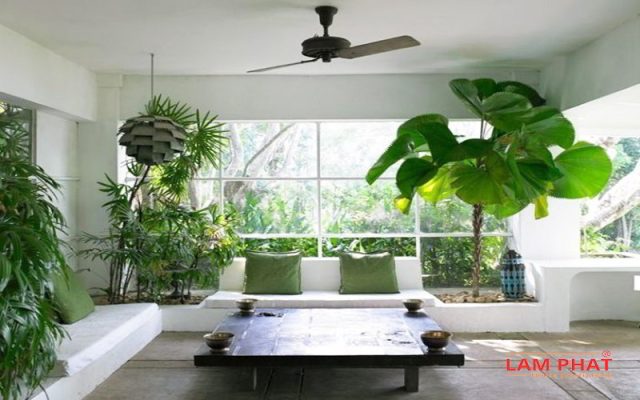 trồng cây xanh trong nhà chống nóng